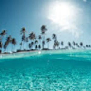 Meet your Posher, Ava